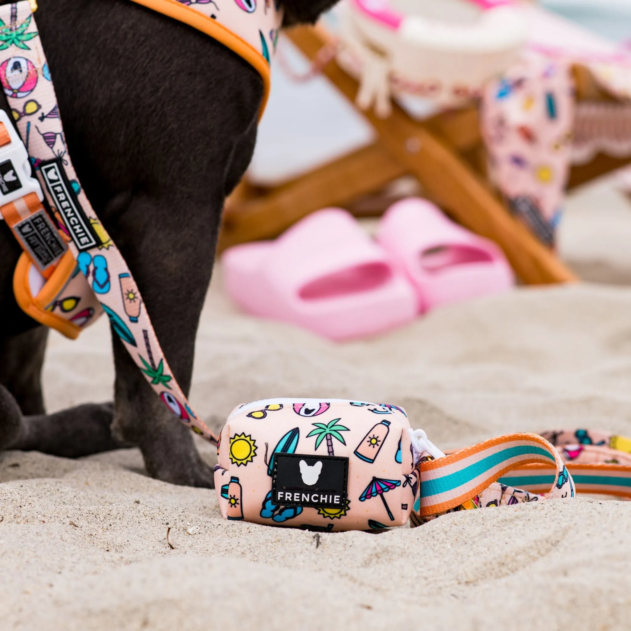 Frenchie Comfort Leash - Beach Bum