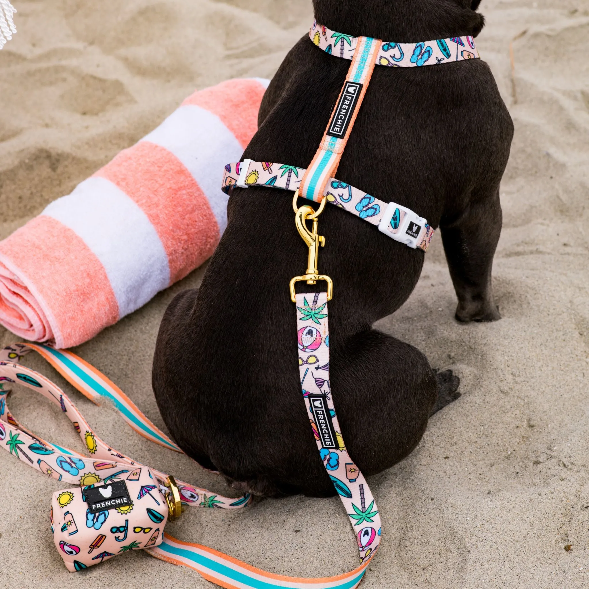 Frenchie Comfort Leash - Beach Bum