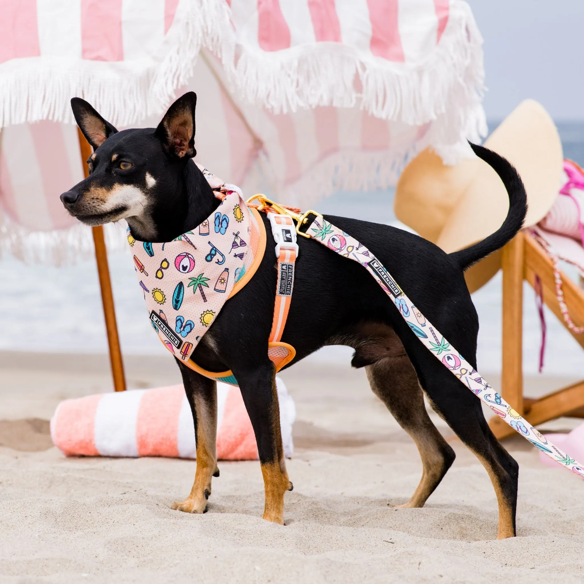 Frenchie Comfort Leash - Beach Bum