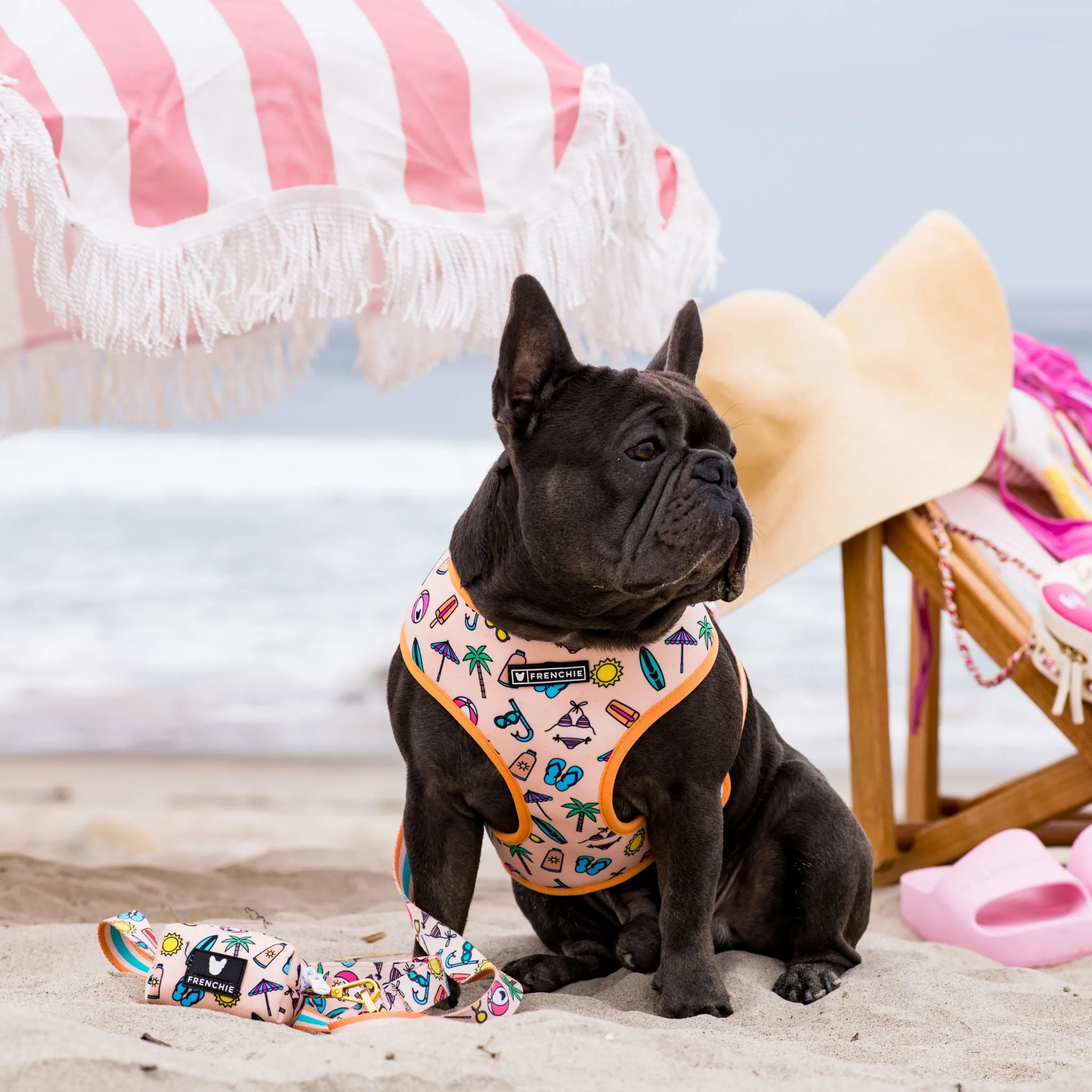 Frenchie Comfort Leash - Beach Bum