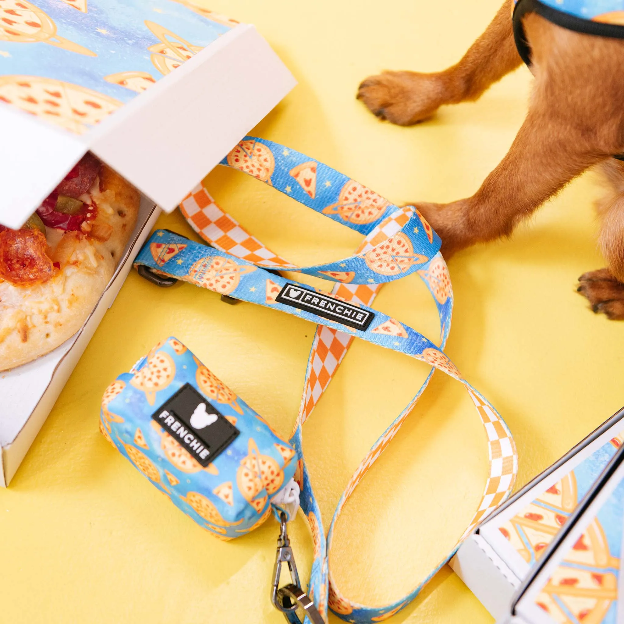 Frenchie Comfort Leash - Galaxy Pizza
