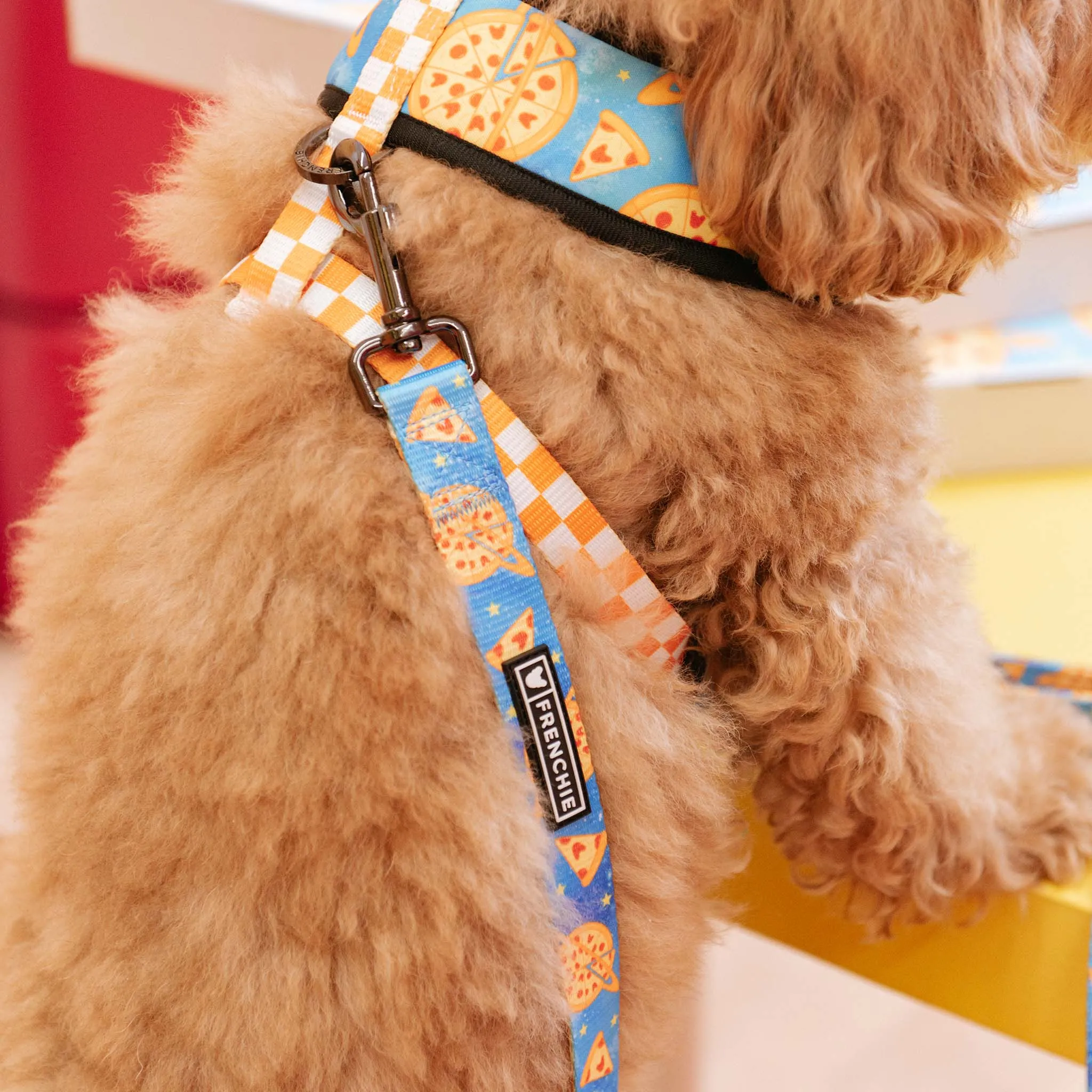Frenchie Comfort Leash - Galaxy Pizza