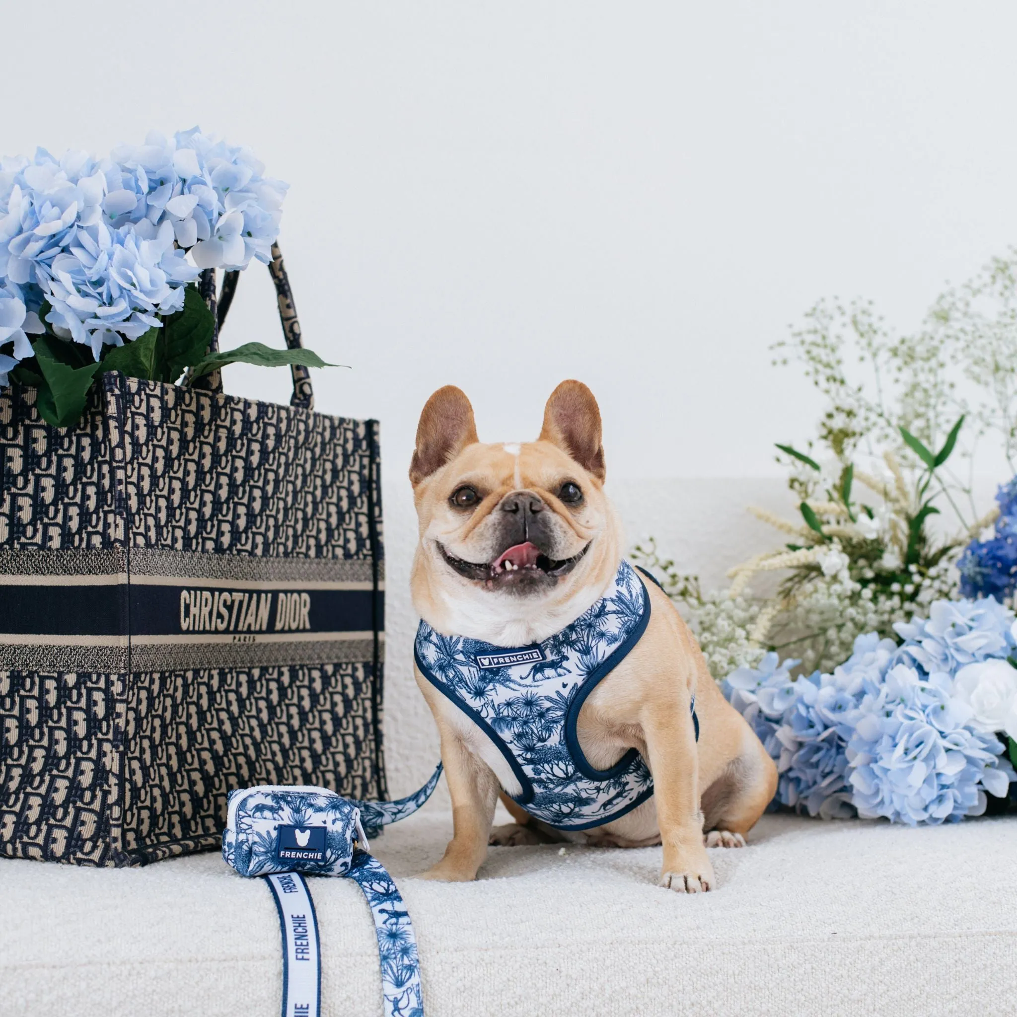 Frenchie Comfort Leash - Toile- Blue