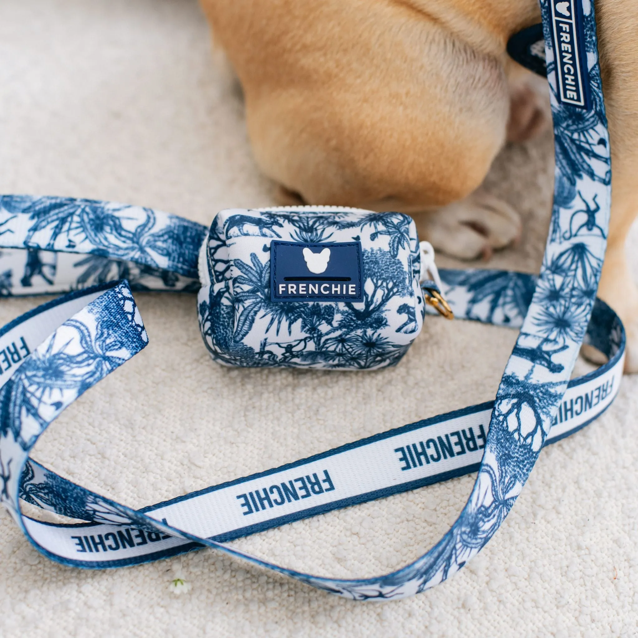 Frenchie Comfort Leash - Toile- Blue